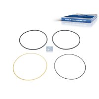 Gasket Set Cylinder Liner DT SPARE PARTS IAM-Expertise...