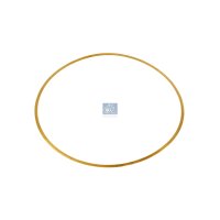 Dichtung Zylinderlaufbuchse Ø 1474 mm 015 mm DT...
