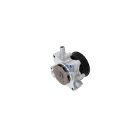 Engine Cooling Water Pump DT SPARE PARTS IAM-Expertise...
