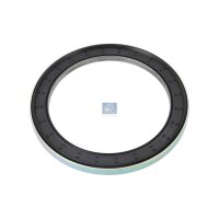 Shaft Seal Wheel Hub rear axle Ø 132 mm DT SPARE...