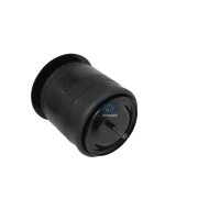 Federbalg Luftfederung DT SPARE PARTS IAM-Expertise passend für HINO