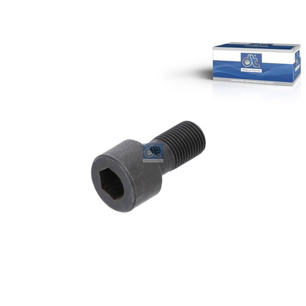 Hohlschraube 31 mm M10 x 1 DT SPARE PARTS IAM-Expertise passend für SCANIA