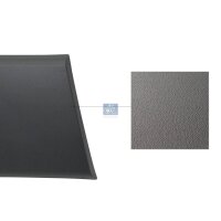 Zier-/Schutzleiste Seitenwand DT SPARE PARTS...