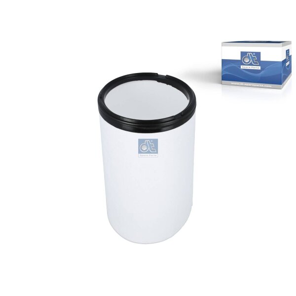 Sekundärluftfilter-Einsatz DT SPARE PARTS IAM-Expertise passend für RENAULT