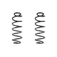 Fahrwerksfeder-Set hinten Schraubenfeder 313mm SPIDAN...