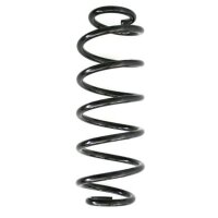 Fahrwerksfeder-Set hinten Schraubenfeder 313mm SPIDAN...