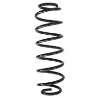 Fahrwerksfeder-Set hinten Schraubenfeder 320mm SPIDAN...