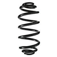 Fahrwerksfeder-Set hinten Schraubenfeder 326mm SPIDAN...