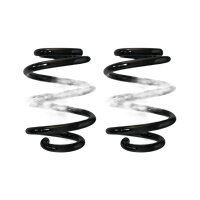 Fahrwerksfeder-Set hinten Schraubenfeder 164mm SPIDAN...