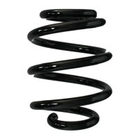 Fahrwerksfeder-Set hinten Schraubenfeder 164mm SPIDAN...