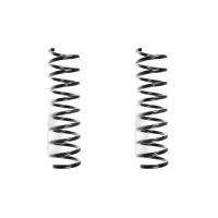 Fahrwerksfeder-Set SPIDAN für MERCEDES C-KLASSE (W202)
