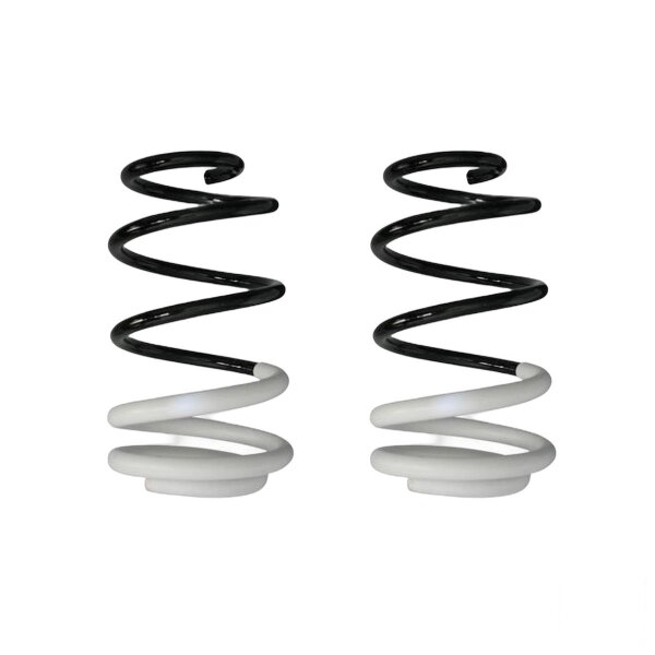 Suspension spring set front coil spring 293mm SPIDAN for RENAULT CLIO III