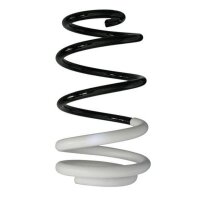 Fahrwerksfeder-Set vorne Schraubenfeder 293mm SPIDAN...