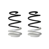 Suspension spring set front coil spring 293mm SPIDAN for...