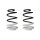Suspension spring set front coil spring 293mm SPIDAN for RENAULT CLIO III