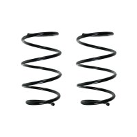 Fahrwerksfeder-Set vorne Schraubenfeder 294mm SPIDAN...
