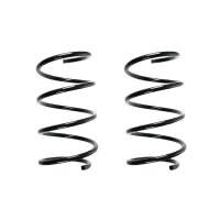 Suspension spring set front coil spring 301mm SPIDAN for...