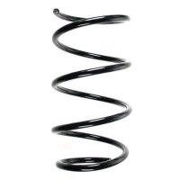 Fahrwerksfeder-Set vorne Schraubenfeder 308mm SPIDAN...