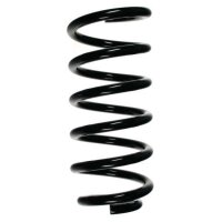 Fahrwerksfeder-Set hinten Schraubenfeder 303mm SPIDAN...