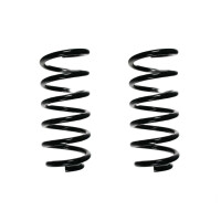 Fahrwerksfedern-Set hinten Schraubenfeder 303mm SPIDAN...