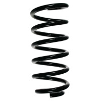 Fahrwerksfedern-Set hinten Schraubenfeder 303mm SPIDAN...