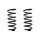 Fahrwerksfeder-Set hinten Schraubenfeder 303mm SPIDAN für AUDI A6 C5