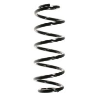 Fahrwerksfeder-Set hinten Schraubenfeder 313mm SPIDAN...