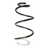 Suspension spring set front coil spring 346mm SPIDAN for RENAULT CAPTUR I