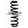 Fahrwerksfeder-Set hinten Schraubenfeder 328mm SPIDAN für VW TIGUAN (AD1)