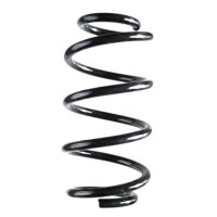 Suspension spring set rear coil spring 253mm SPIDAN for...