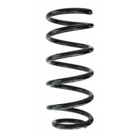 Fahrwerksfeder-Set hinten Schraubenfeder 254mm SPIDAN...