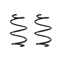 Fahrwerksfeder-Set vorne Schraubenfeder 289mm SPIDAN...