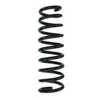 Fahrwerksfeder-Set hinten Schraubenfeder 316mm SPIDAN...