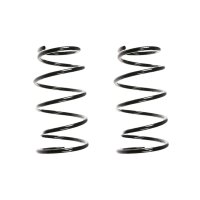 Fahrwerksfeder-Set vorne Schraubenfeder 295mm SPIDAN...