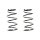 Suspension spring set front coil spring 295mm SPIDAN for JUSTY II