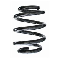 Fahrwerksfeder-Set hinten Schraubenfeder 194mm SPIDAN...