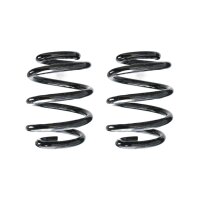 Suspension spring set rear coil spring 194mm SPIDAN for...