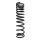 Suspension spring set rear coil spring 433mm SPIDAN for FORD FOCUS I