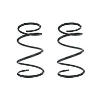 Suspension spring set front coil spring 315mm SPIDAN for...