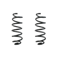 Fahrwerksfeder-Set hinten Schraubenfeder 317mm SPIDAN...