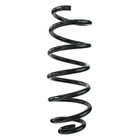 Fahrwerksfeder-Set hinten Schraubenfeder 317mm SPIDAN...