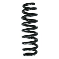 Fahrwerksfeder-Set hinten Schraubenfeder 318mm SPIDAN...