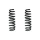 Fahrwerksfeder-Set hinten Schraubenfeder 318mm SPIDAN für BMW 3 (E90)