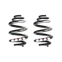 Fahrwerksfedern-Set Spiralfeder SPIDAN für u.a. VW...