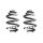 Fahrwerksfeder-Set SPIDAN für VW CALIFORNIA T5