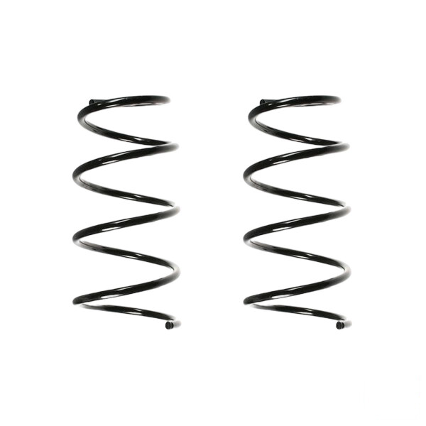 Suspension spring set Replacement Fit SPIDAN for RENAULT MEGANE I