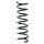 Fahrwerksfeder-Set hinten Schraubenfeder 363mm SPIDAN für FORD C-MAX (DM2)
