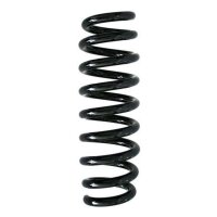 Fahrwerksfeder-Set hinten Schraubenfeder 319mm SPIDAN...