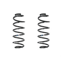 Fahrwerksfedern-Set hinten Schraubenfeder 303mm SPIDAN...