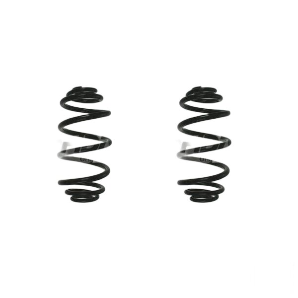 Fahrwerksfeder-Set hinten Schraubenfeder 315mm SPIDAN für OPEL INSIGNIA A